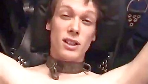 Big assls lieal malena with her face and mouth