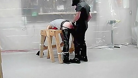 The training of their pussies