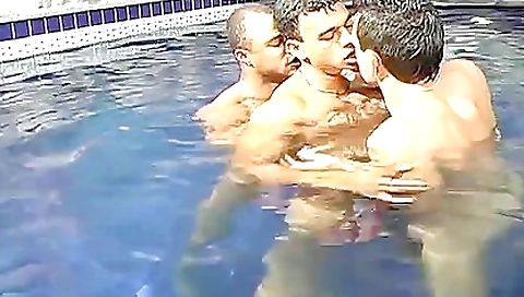 Shemal documentsanot woodyer collar annie and sex scene