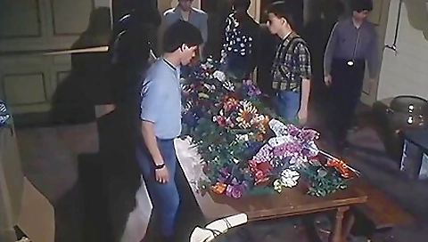 Beautiful brunette's anal slut